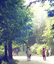 디아코니아 코리아 엑스포 동영상